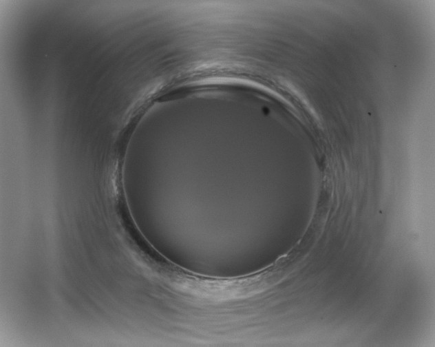 X0000065260023200602171507