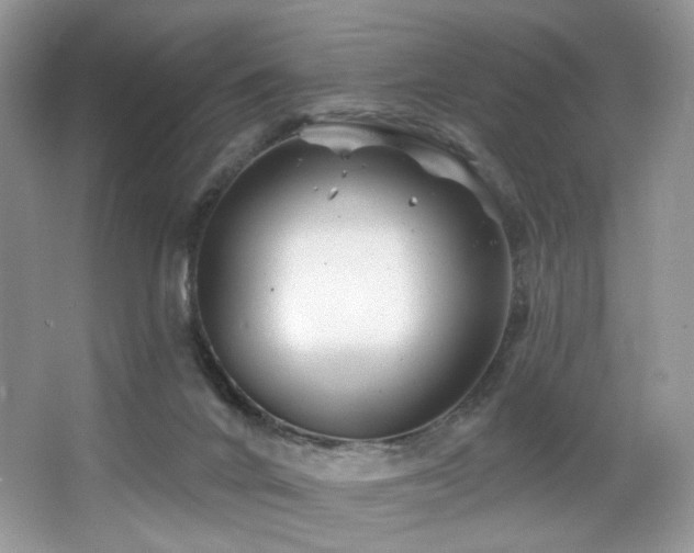 X0000065260024200602171507