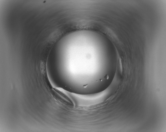 X0000065260025200602171507