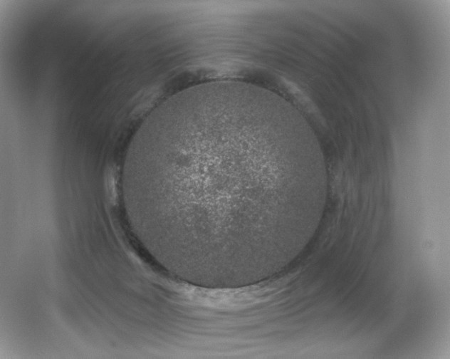 X0000065260026200602171507