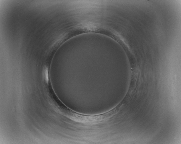 X0000065260027200602171506