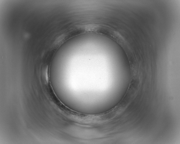 X0000065260028200602171506