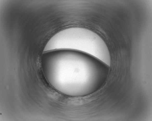 X0000065260029200602171506