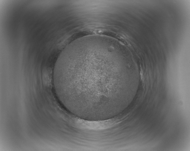 X0000065260030200602171506