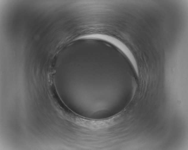 X0000065260031200602171506