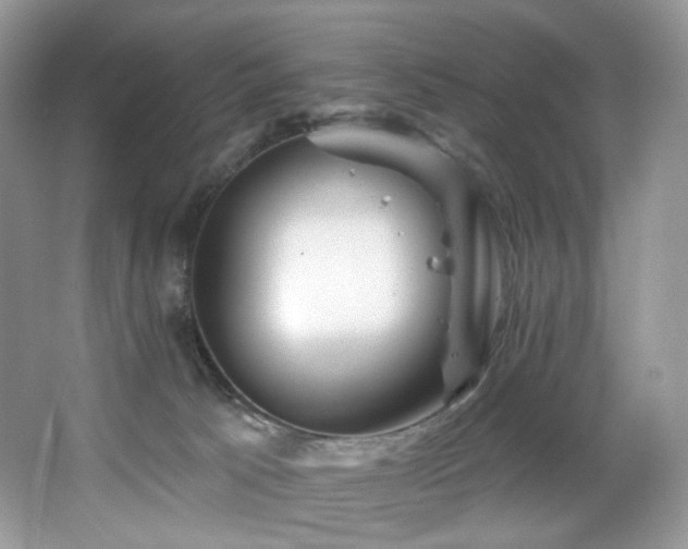 X0000065260033200602171506