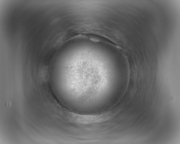 X0000065260034200602171506