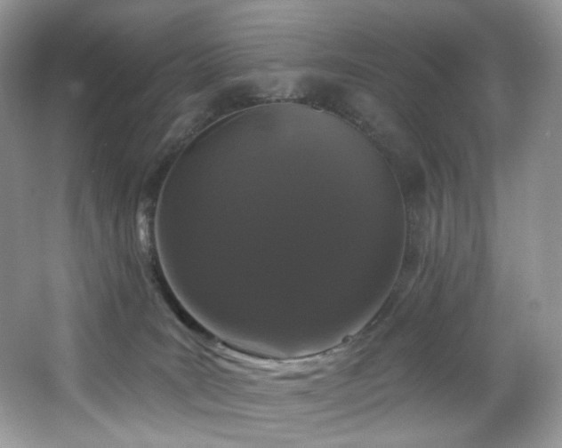 X0000065260035200602171506