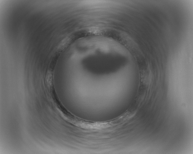 X0000065260036200602171506