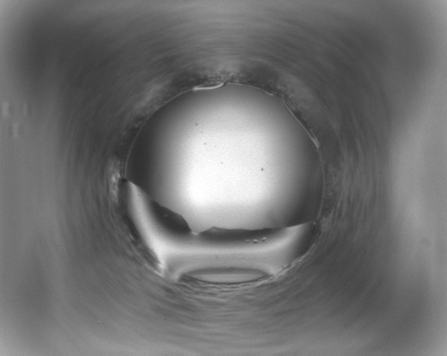 X0000065260037200602171506