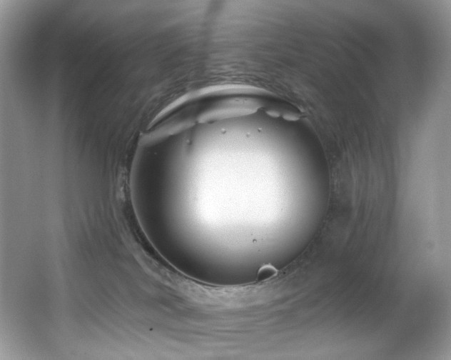 X0000065260038200602171506