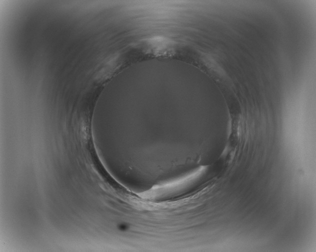 X0000065260039200602171506