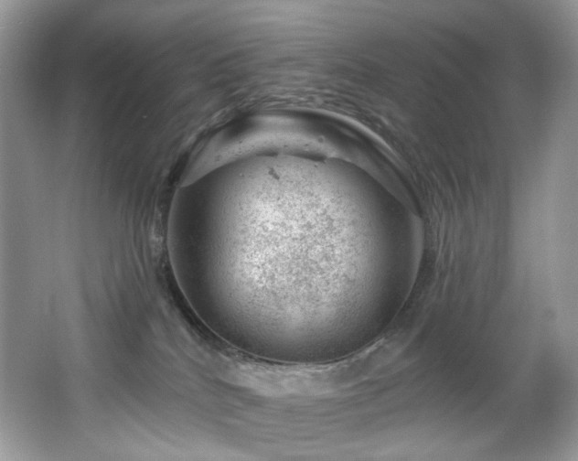 X0000065260040200602171506