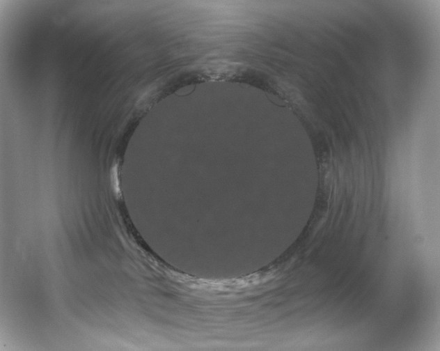 X0000065260042200602171506