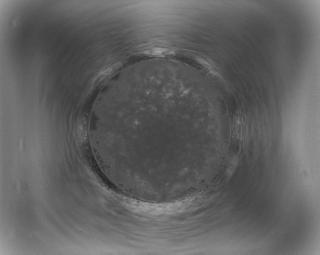 X0000065260043200602171506