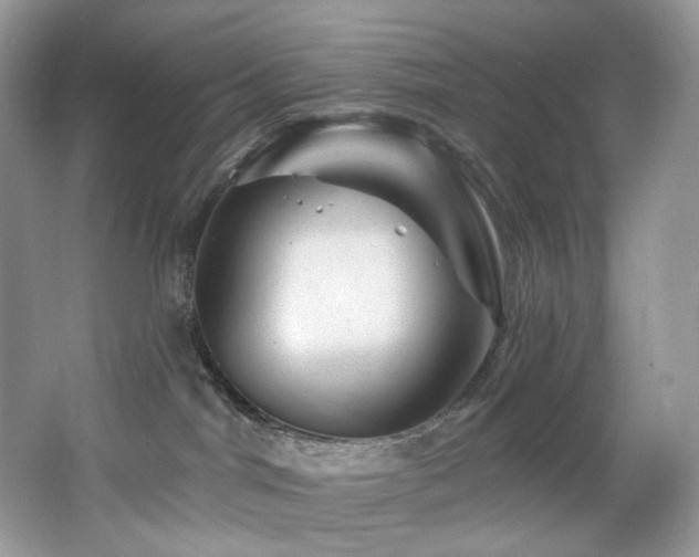 X0000065260044200602171506