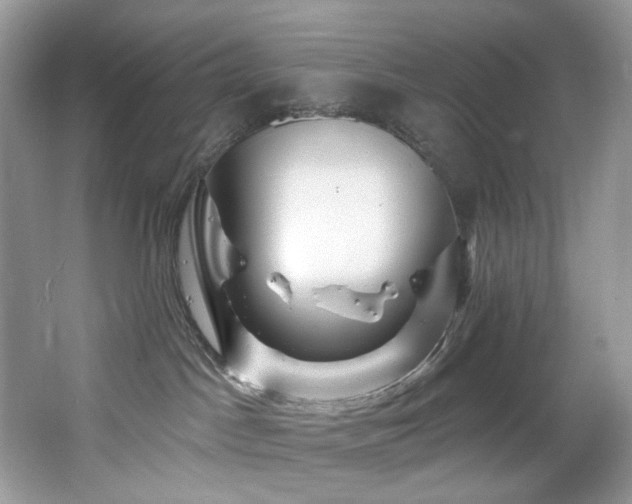 X0000065260045200602171506