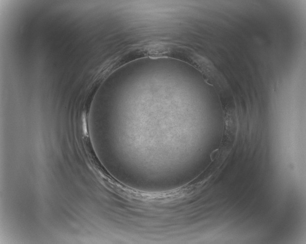 X0000065260046200602171506