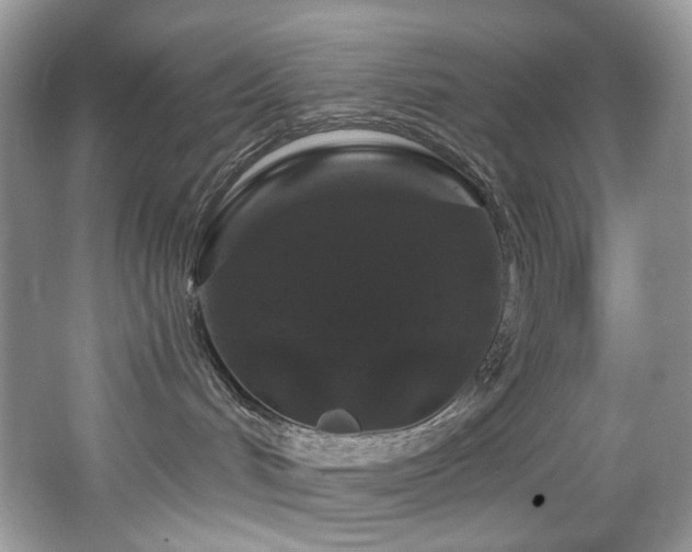 X0000065260048200602171506