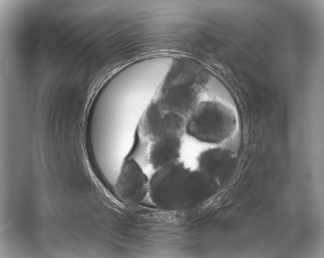 X0000065260049200602171505