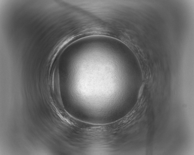 X0000065260050200602171505