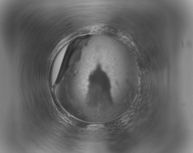 X0000065260051200602171505