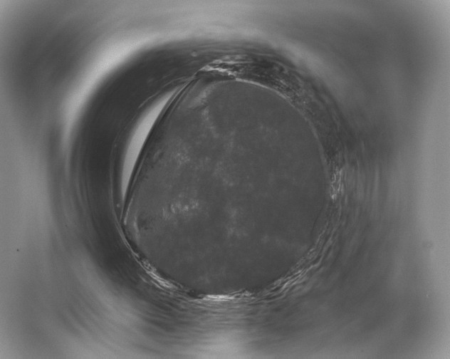 X0000065260052200602171505