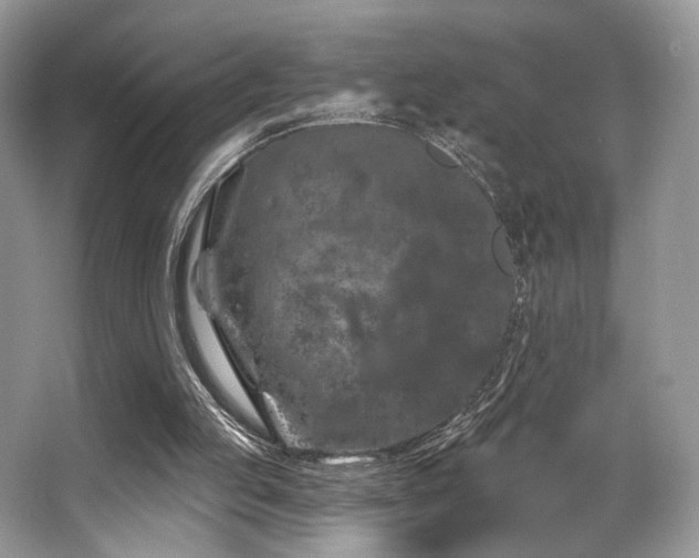 X0000065260053200602171505