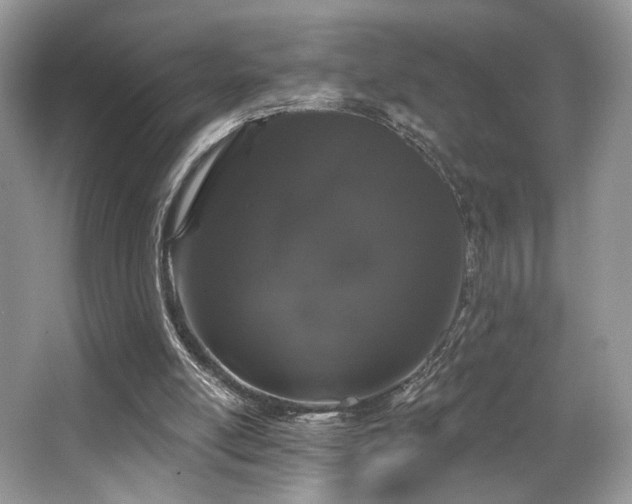 X0000065260054200602171505