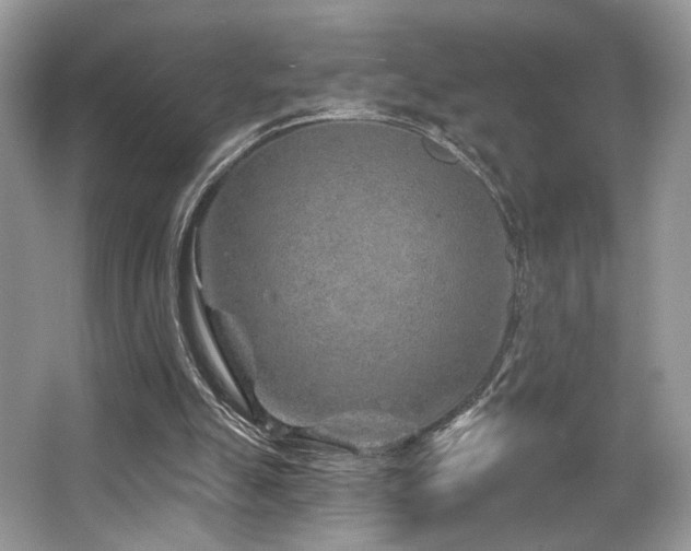 X0000065260055200602171505