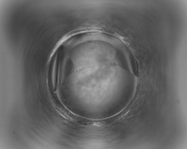 X0000065260056200602171505