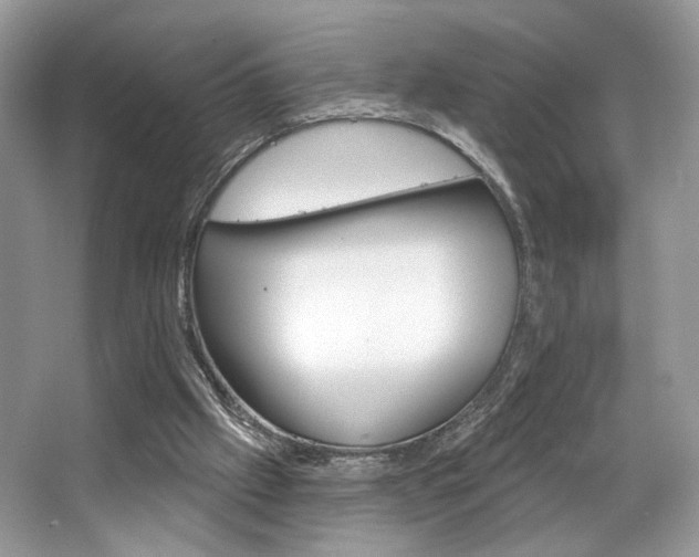 X0000065260057200602171505