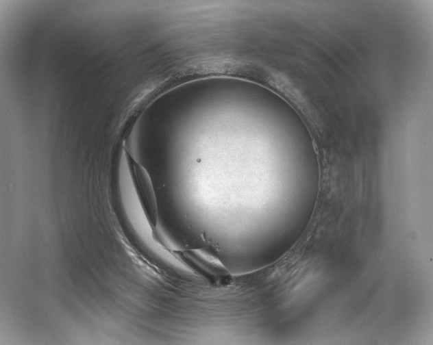 X0000065260058200602171505