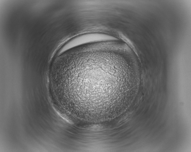 X0000065260059200602171505