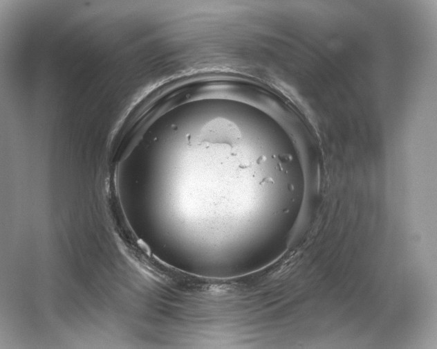 X0000065260060200602171505