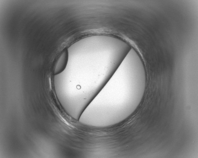 X0000065260061200602171505