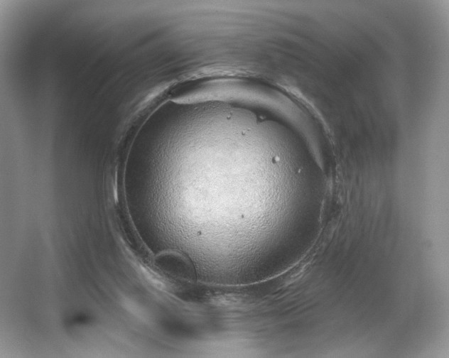 X0000065260062200602171505