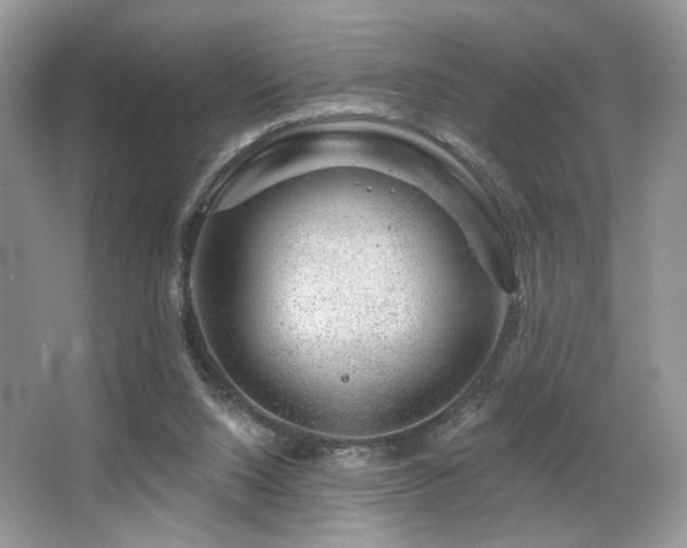 X0000065260064200602171506