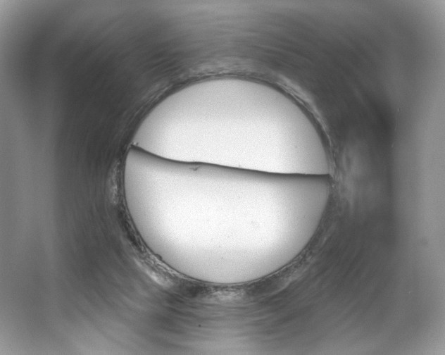 X0000065260065200602171506