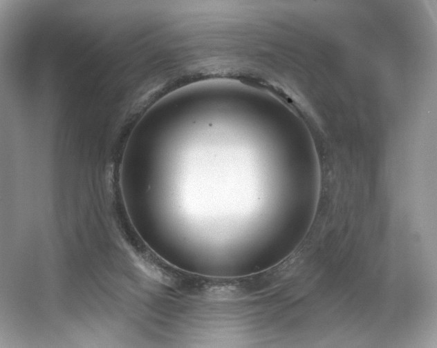 X0000065260066200602171506