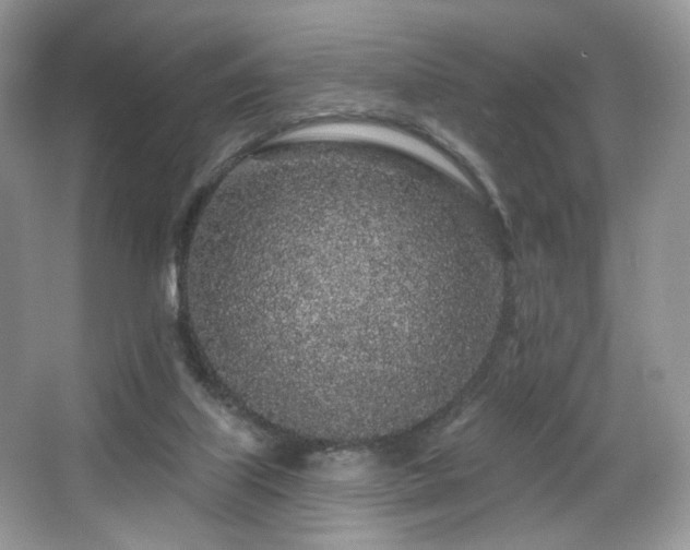 X0000065260067200602171506