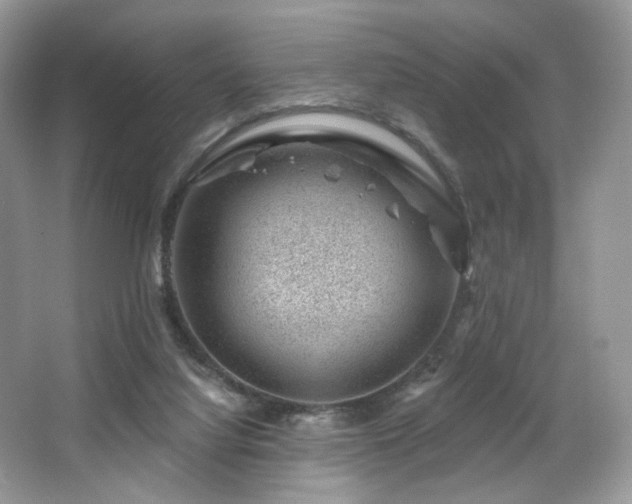 X0000065260068200602171506