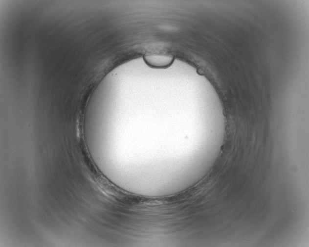 X0000065260069200602171506