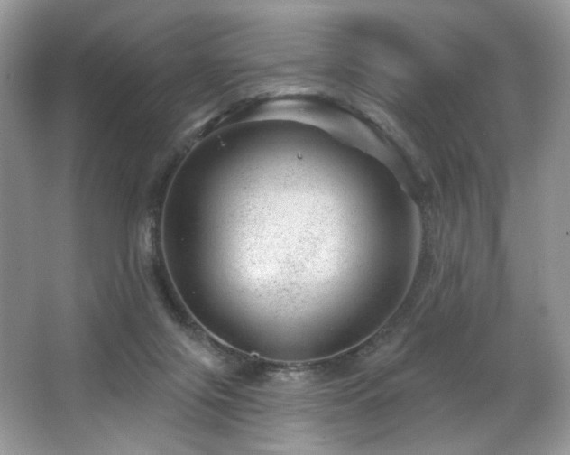 X0000065260071200602171506