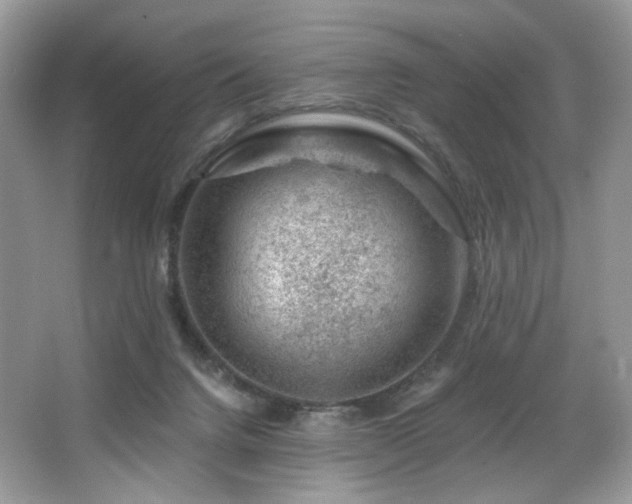 X0000065260072200602171506