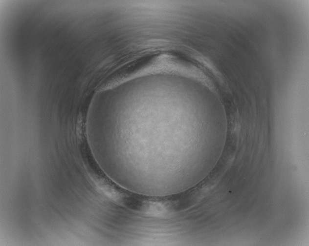 X0000065260073200602171506