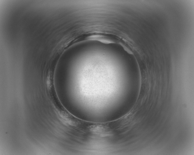 X0000065260074200602171506