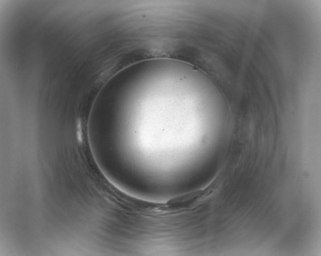 X0000065260075200602171506