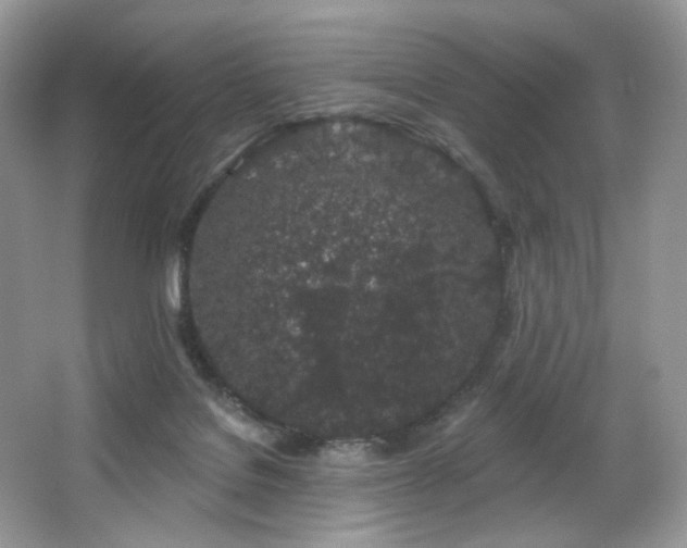 X0000065260076200602171506