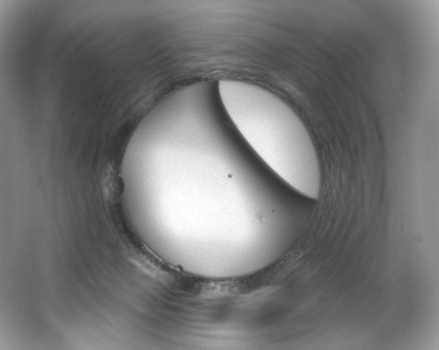 X0000065260077200602171506